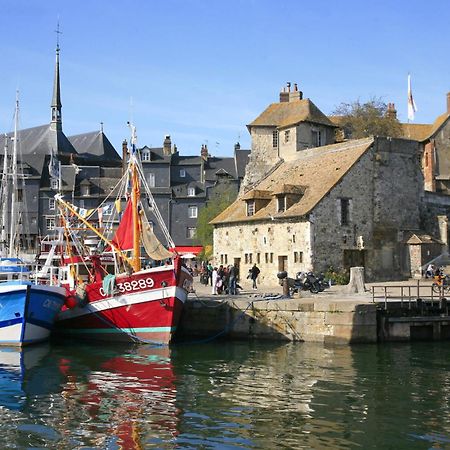 Studio Meuble Jacynthe Proche Le Havre - Etretat - Honfleur Saint-Romain-de-Colbosc 외부 사진